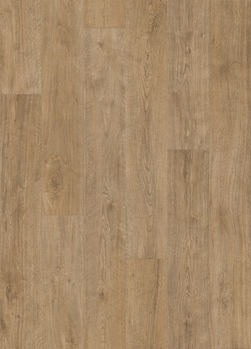 f755975278b5cb95fa8143a9c3a628b1_1541781085_3039.jpg f755975278b5cb95fa8143a9c3a628b1_1541781085_3039.jpg