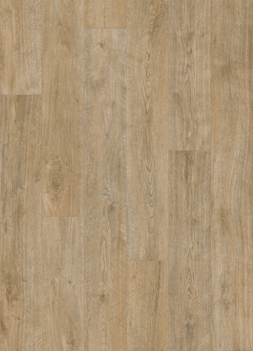 f755975278b5cb95fa8143a9c3a628b1_1541781745_1503.jpg f755975278b5cb95fa8143a9c3a628b1_1541781745_1503.jpg