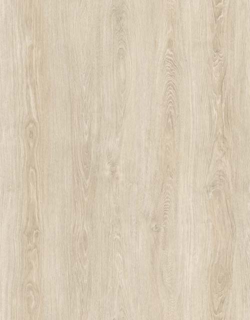 43bab4192e4772ea85c2afbb04611844_1541523364_8689.jpg 43bab4192e4772ea85c2afbb04611844_1541523364_8689.jpg