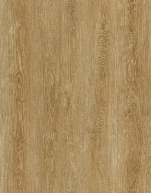 43bab4192e4772ea85c2afbb04611844_1541523260_8582.jpg 43bab4192e4772ea85c2afbb04611844_1541523260_8582.jpg